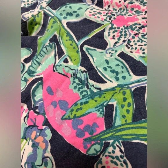 Lilly Pulitzer Dres - Picture 6 of 10